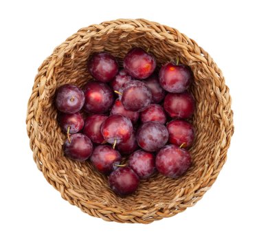 Erik yolu beyazda izole edildi