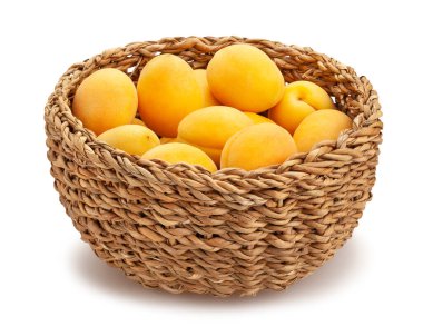 Kayısı yolu beyazda izole edilmiş.