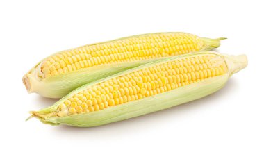 mısır yolu beyaz üzerinde izole