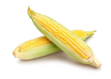 mısır yolu beyaz üzerinde izole