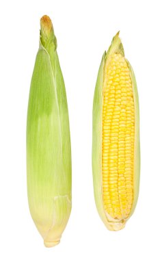 mısır yolu beyaz üzerinde izole