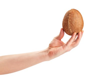 Hindistan cevizi beyaz yolda izole edilmiş.