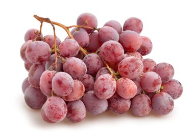 Kırmızı üzüm yolu beyazda izole edildi