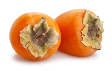 hurma yolu beyazda izole edildi