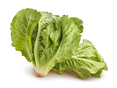 Romaine marul yolu beyaz üzerinde izole