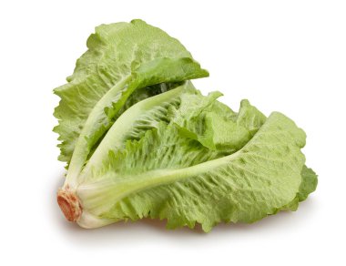 Romaine marul yolu beyaz üzerinde izole