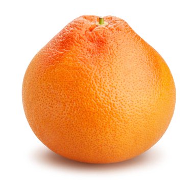 greyfurt yolu beyazda izole edildi