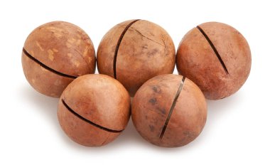 Macadamia cevizi yolu beyazda izole edilmiş.