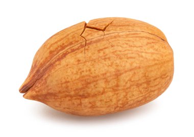 Ceviz yolu beyazda izole.