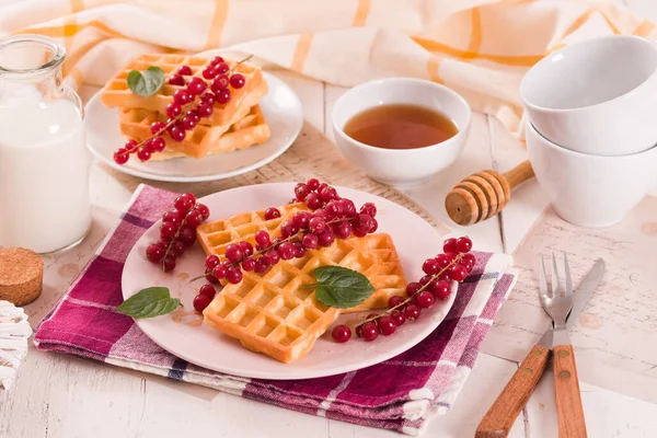 Waffles Red Currant Mint — Photo