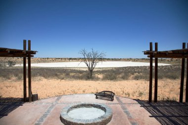 Ateş çukuru ve yalnız ağacı olan çöl manzarası..