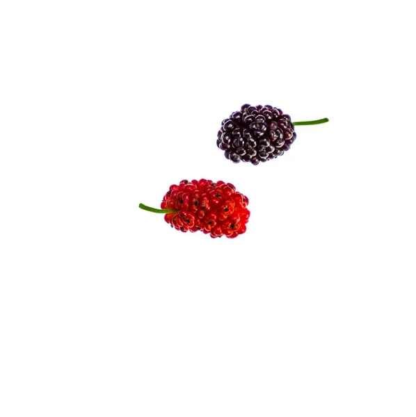 Mulberry Fruit White Background — Stock Photo, Image