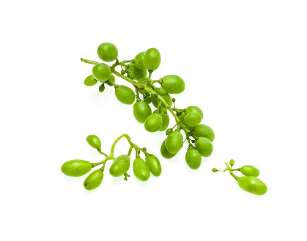 鲜绿色的葡萄干 带有白色背景的未成熟果实 — 图库照片