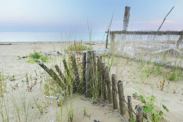 Sand Dune Stabilization Wooden Erosion Fence Bibione Beach Italy — Stock Photo, Image