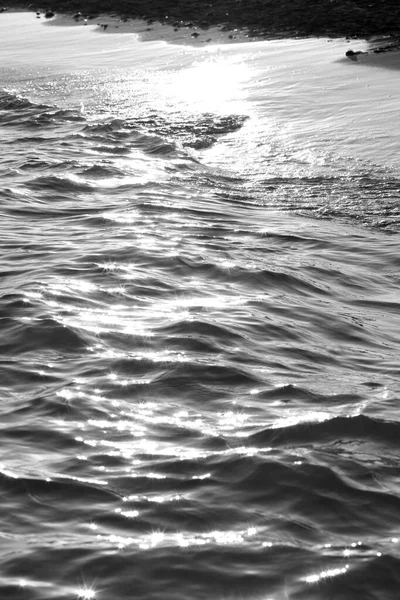 日差しから輝く海水の黒と白の写真 — ストック写真