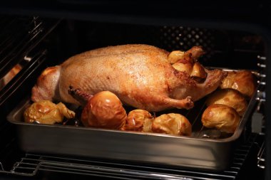 Fırında pişerken elmalı ördek.