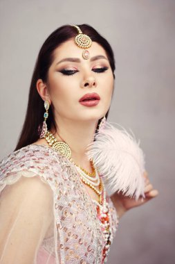 Geleneksel Hint elbiseli bir kadının zarif stüdyo portresi. Karmaşık mücevherleri var, elinde bir tüy var.. 