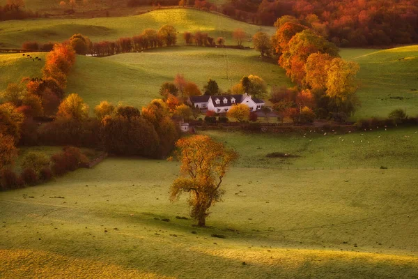 Schöne Landschaft Herbst Mit Einem Einsamen Baum Und Einem Häuschen — Stockfoto