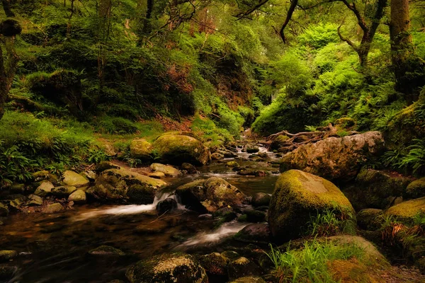 Tajemnicze Potoki Dolinie Glendalough Park Narodowy Wicklow Irlandia — Zdjęcie stockowe