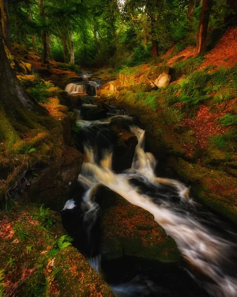 Schöner Herbstwald Mit Wasserfall Hintergrund — Stockfoto
