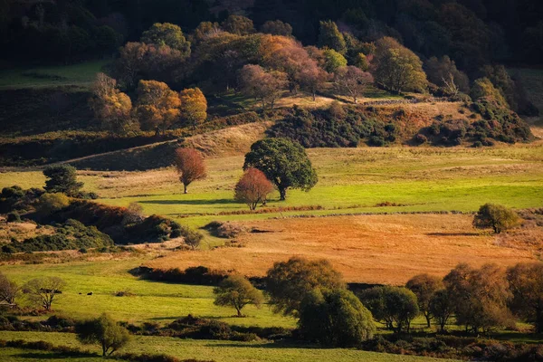 Peisaj Frumos Zonei Rurale Într Zonă Rurală — Fotografie, imagine de stoc