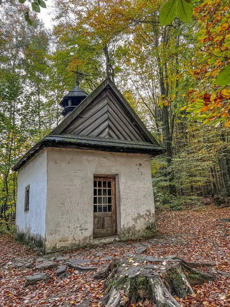 2022年10月16日 ポーランドの有名な作家シュテファン ゼロムスキーが祈りを捧げた スイスのカタージナ村のモミの森の端にある古い礼拝堂 — ストック写真