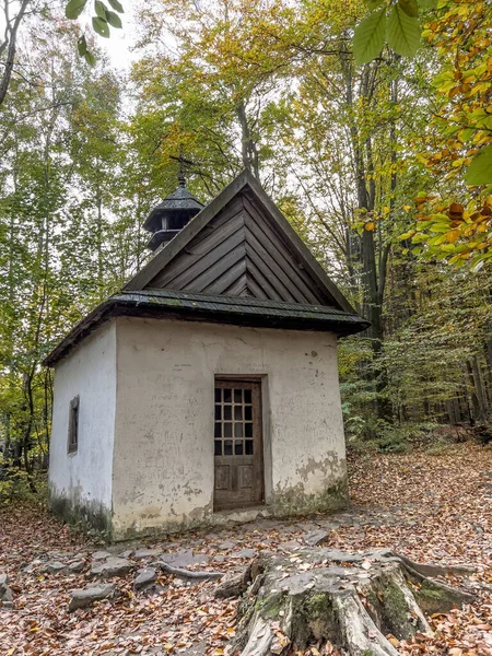 2022年10月16日 ポーランドの有名な作家シュテファン ゼロムスキーが祈りを捧げた スイスのカタージナ村のモミの森の端にある古い礼拝堂 — ストック写真