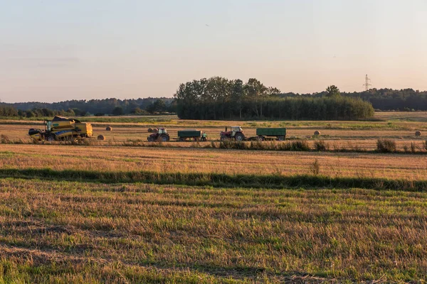 Innhøsting Høstfeltarbeid Polen – stockfoto