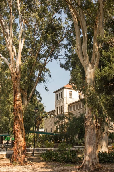 Parque Com Belas Árvores Redor Igreja Monte Das Bem Aventuranças — Fotografia de Stock