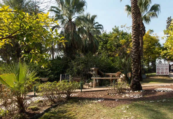 Park Beautiful Trees Church Mount Beatitudes Sea Galilee Israel — Stock Photo, Image