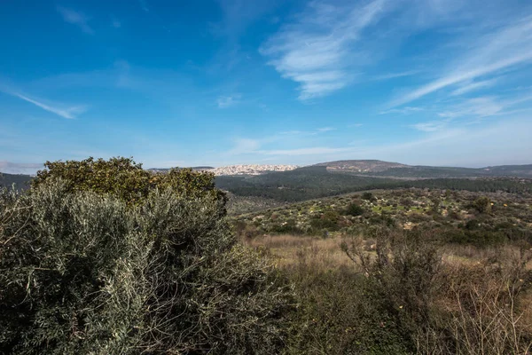 View Surrounding Area Mount Tabor Transfiguration Lord Israel — Stock Photo, Image