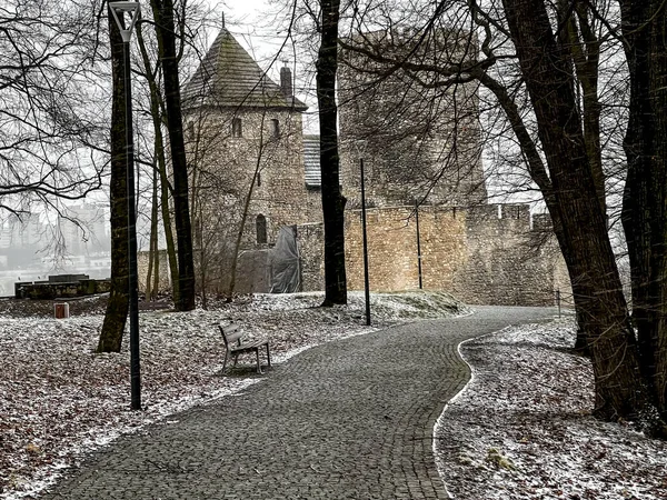 Slott Bedzin Schlesien Polen Mars Snöigt Väder — Stockfoto