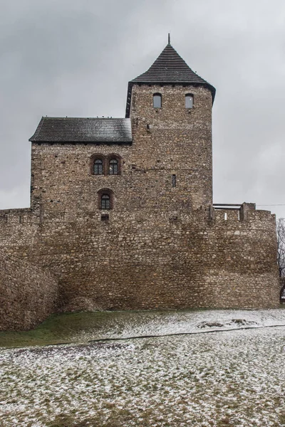 Zamek Bedzinie Śląsk Polska Marcu Śnieżna Pogoda — Zdjęcie stockowe