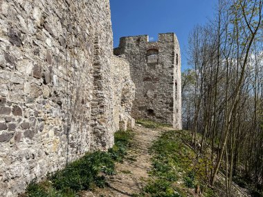 Tenczyn Şatosu - Jura Krakowsko-Çekoslovakya 'daki bir şatonun kalıntıları, Krakow poviat' ta, Polonya 'nın daha küçük bir bölgesindeki Rudno köyünde, Kartal Yuvaları olarak adlandırılan yerde.,