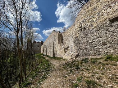 Tenczyn Şatosu - Jura Krakowsko-Çekoslovakya 'daki bir şatonun kalıntıları, Krakow poviat' ta, Polonya 'nın daha küçük bir bölgesindeki Rudno köyünde, Kartal Yuvaları olarak adlandırılan yerde.,