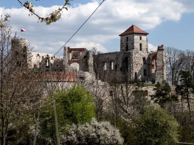 Tenczyn Şatosu - Jura Krakowsko-Çekoslovakya 'daki bir şatonun kalıntıları, Krakow poviat' ta, Polonya 'nın daha küçük bir bölgesindeki Rudno köyünde, Kartal Yuvaları olarak adlandırılan yerde.,