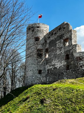 Polonya 'nın Krakow kenti yakınlarındaki Rudno köyünde Tenczyn Şatosu (kale harabeleri, duvar parçaları).