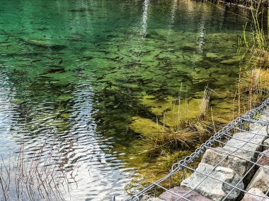 Jaworzno, Polonya 'da park Grodek. Polonya Maldivleri (saydam suda görülebilen büyük miktarlarda balık).