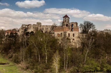 Tenczyn Şatosu - Jura Krakowsko-Çekoslovakya 'daki bir şatonun kalıntıları, Krakow poviat' ta, Polonya 'nın daha küçük bir bölgesindeki Rudno köyünde, Kartal Yuvaları olarak adlandırılan yerde.,