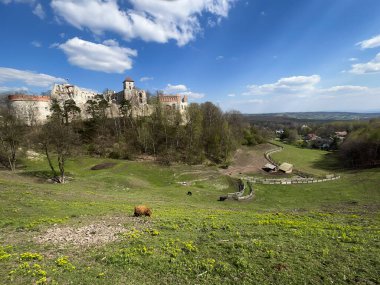 Tenczyn Şatosu - Jura Krakowsko-Çekoslovakya 'daki bir şatonun kalıntıları, Krakow poviat' ta, Polonya 'nın daha küçük bir bölgesindeki Rudno köyünde, Kartal Yuvaları olarak adlandırılan yerde.,