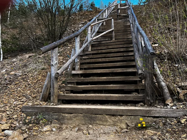 Escalier Bois Dans Parc Grodek Construit Sur Site Une Ancienne — Photo