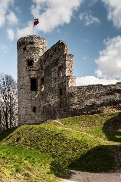 Zamek Tenczyn Ruiny Zamku Fragmenty Murów Wsi Rudno Koło Krakowa — Zdjęcie stockowe