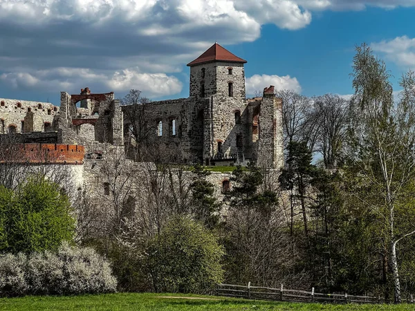 Zamek Tenczyn Ruiny Zamku Położonego Jurze Krakowsko Częstochowskiej Należącego Tzw — Zdjęcie stockowe