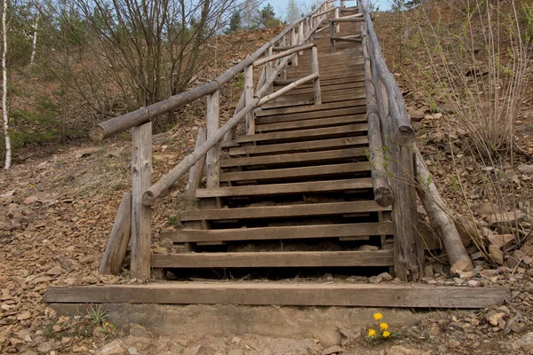 Escalier Bois Dans Parc Grodek Construit Sur Site Une Ancienne — Photo