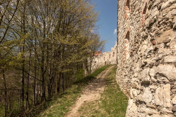 Tenczyn Castle Castle Ruins Fragments Walls Village Rudno Krakow Poland — Stock Photo, Image