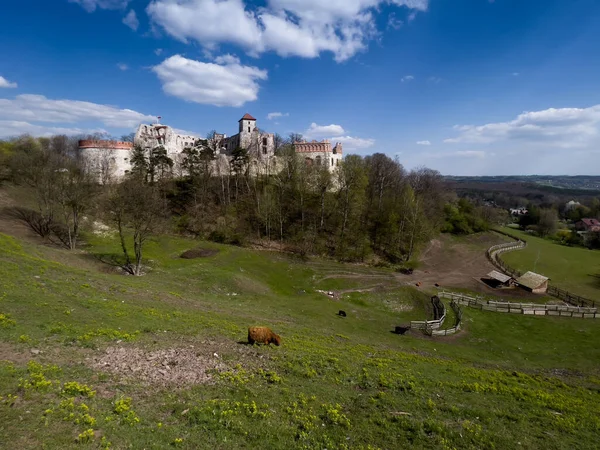Zamek Tenczyn Ruiny Zamku Położonego Jurze Krakowsko Częstochowskiej Należącego Tzw — Zdjęcie stockowe
