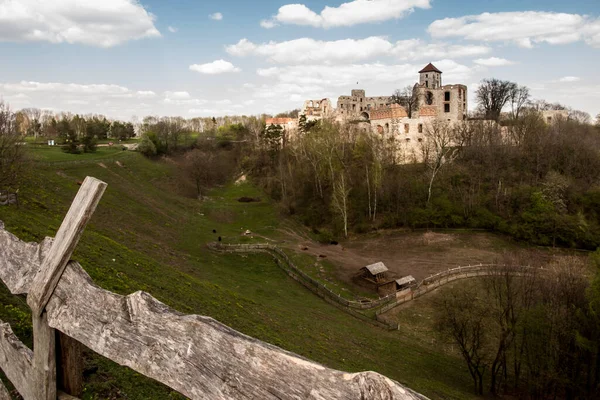 Tenczyn城堡 位于Jura Krakowsko Czstochowska的一座城堡的废墟 包括在所谓的老鹰巢中 在小波兰省Rudno村 在克拉科夫省 — 图库照片