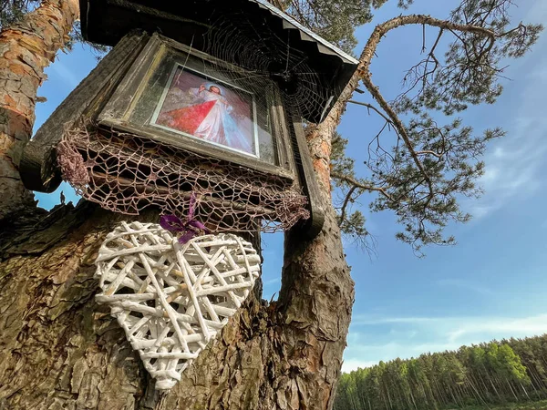 Une Image Jésus Miséricordieux Accroché Dans Une Forêt Près Lac — Photo