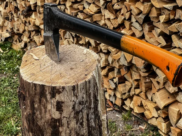 Stump Background Stacked Firewood — Stock Photo, Image