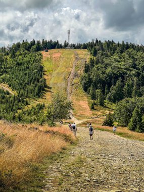 Polonya 'daki Beskid Slaski dağ sırası. Turist sığınağından Klimczok Dağı 'nın tepesine giriş..